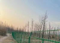 框架護欄網為什么經常做成1.8米高？